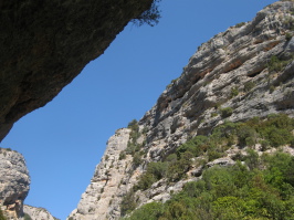 sierra-de-guara-canyon-canyoning-formiga