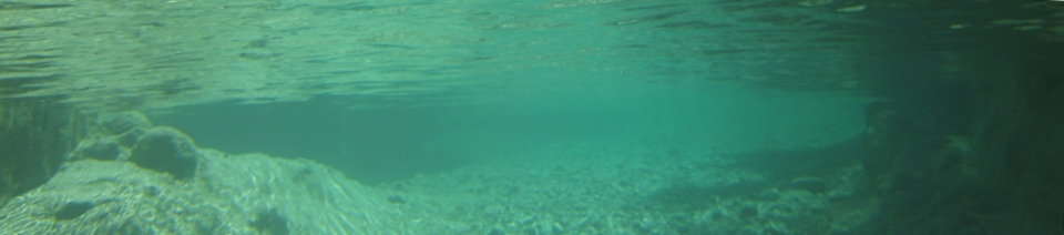 Canyoning Sierra de Guara / Guara-Canyoning
